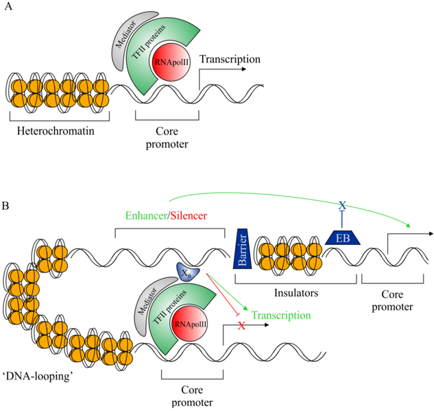 File:Biology-02-00064-g001.png