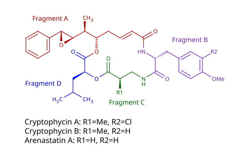 File:Cryptophycin structure.svg