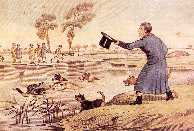 File:Duck-baiting.jpg