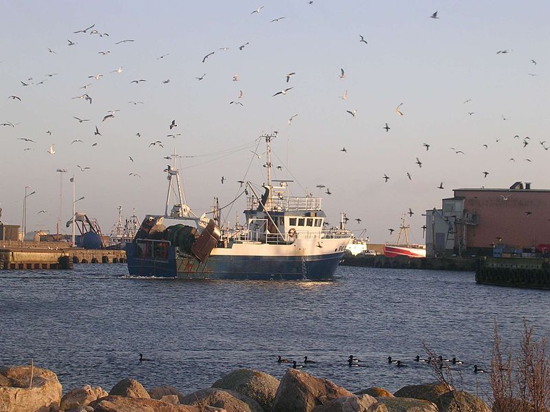 File:Fiskebåt i Simrishamn.jpg