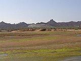 Hara forests at Hormuz Island