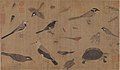 Image 36Description of rare animals (写生珍禽图), by Huang Quan (903–965) during the Song dynasty (from History of biology)