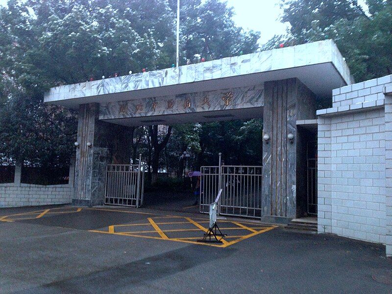 File:Hubei TCM University.jpg