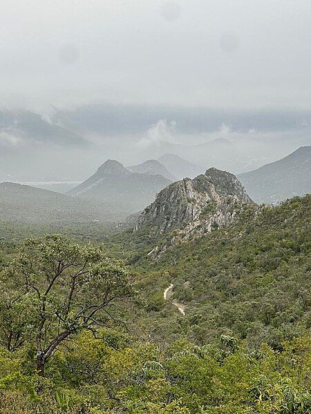 File:La Huasteca Rhinos.jpg