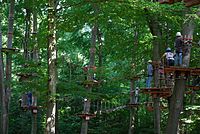 Forest adventure park