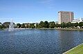 Lille Lungegårdsvannet - an artificial pond in the middle of Bergen