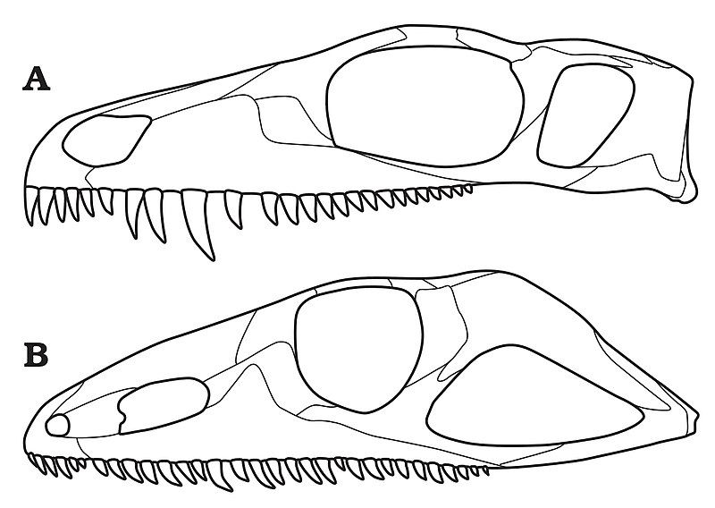 File:Mesenosaurus and Varanodon.jpg