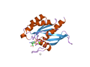 2gf9: Crystal structure of human RAB3D in complex with GDP