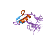 2v0e: BRK DOMAIN FROM HUMAN CHD7