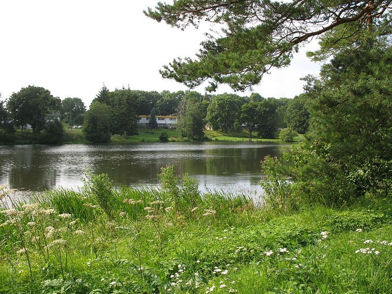 File:Vokapaisjärv2013.jpeg