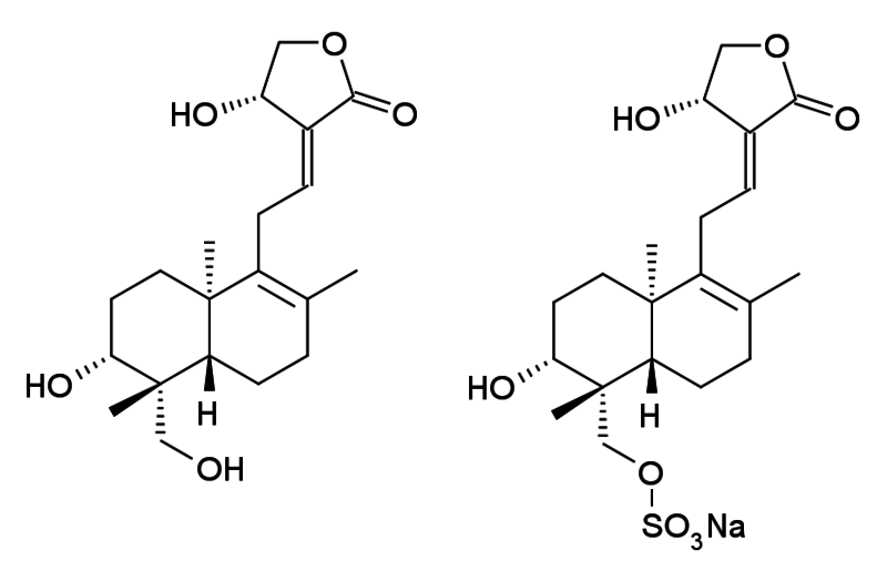 File:Xiyanping structure.png