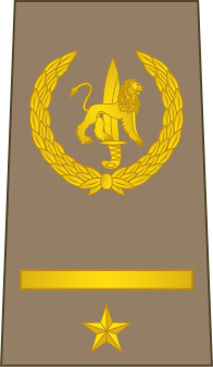 File:08-ROCongo Army-2LT.svg