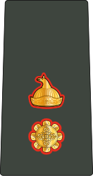 File:11.Bhutan Army-LTC.svg