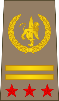 File:13-ROCongo Army-COL.svg