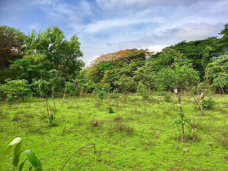 File:Aarey milk colony.jpg