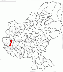 Location in Mureș County