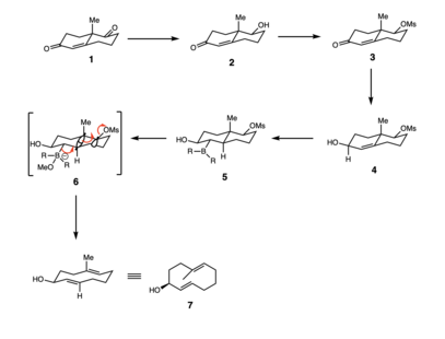 Scheme 2. Grob-like fragmentation