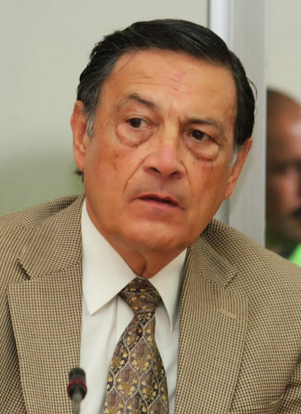 File:Guillermo Constenla Umaña.png