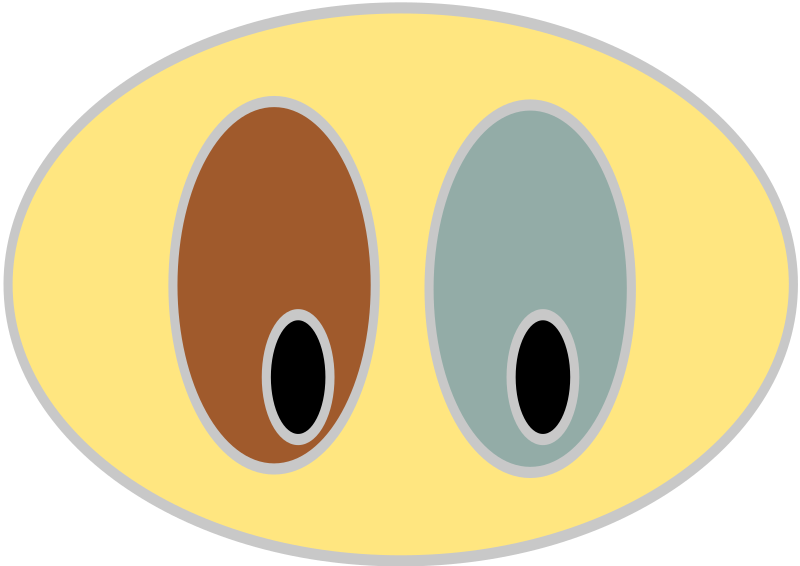 File:Heterochromia iridium clipart.svg