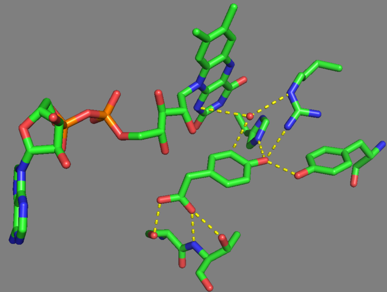 File:HpaB active site-larger.png