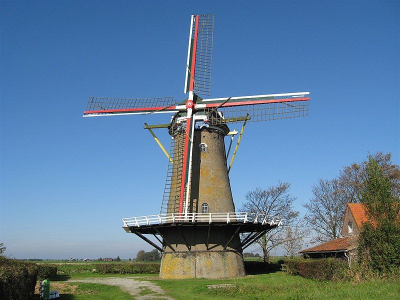 File:Korenbloem Zonnemaire.jpg