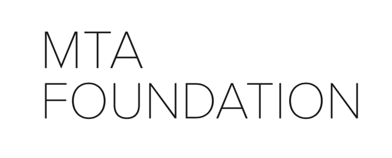 File:MTA FOUNDATION.png