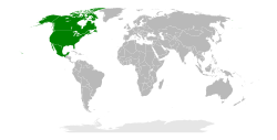 Canada, Mexico and the United States