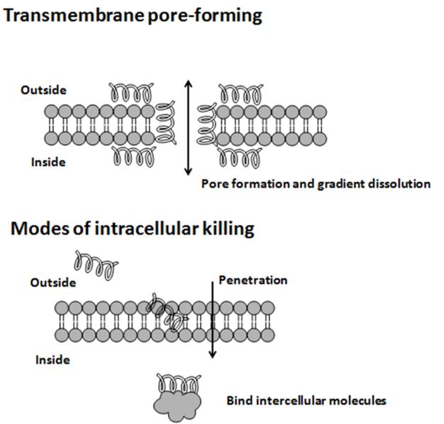 File:Modes of action.png