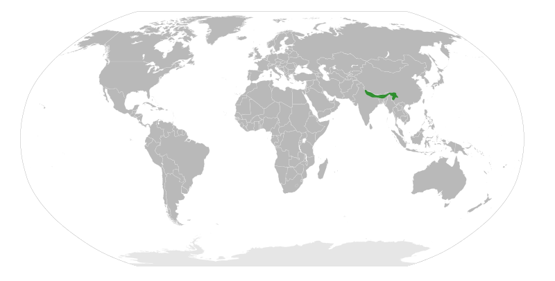 File:Piptanthus distribution.svg