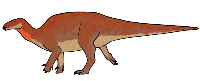 File:Planicoxa reconstruction raingerr.png