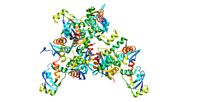 File:SNON protein.png