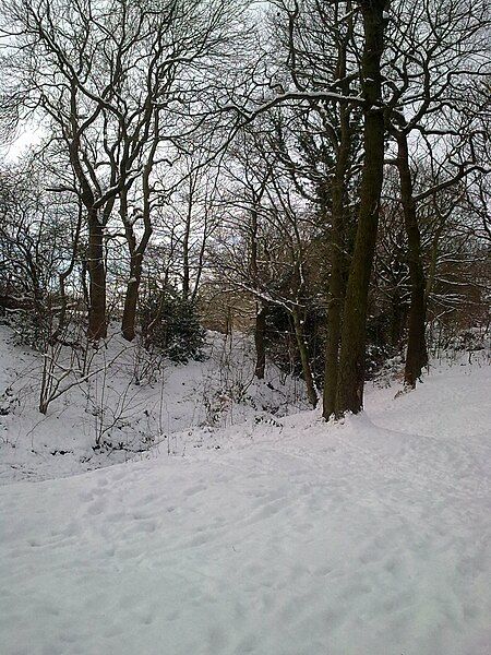 File:Sheffield field snow.jpg