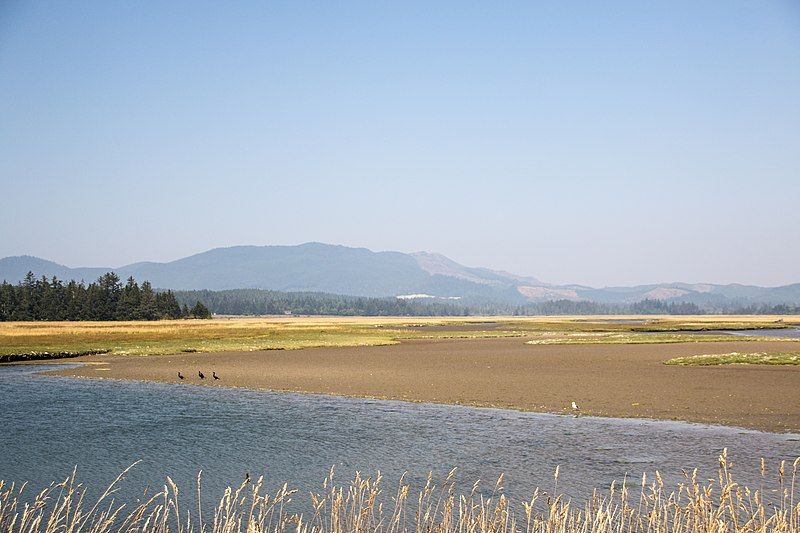 File:Sitka-sedge-state-natural-area-oregon.jpg