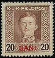 Austro-Hungarian military stamp for use in occupied Romanian territories, 1917