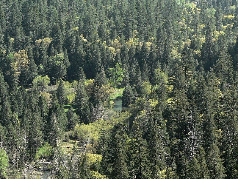 File:Tenaya Canyon 08438.JPG