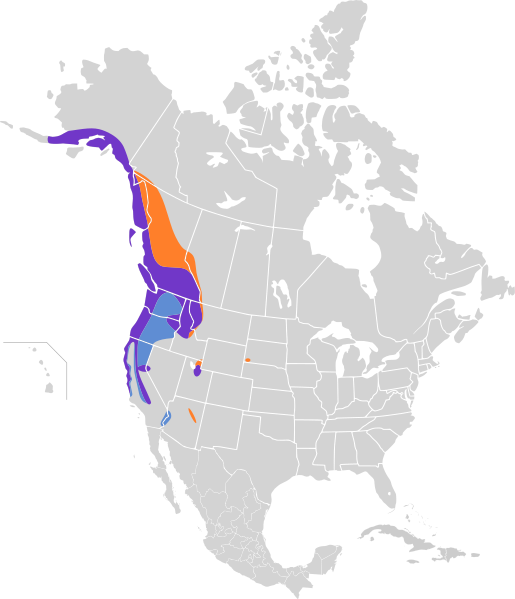 File:Troglodytes pacificus map.svg