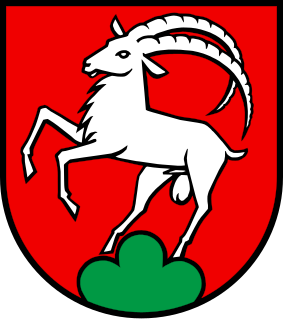 File:Wappen Remigen AG.svg