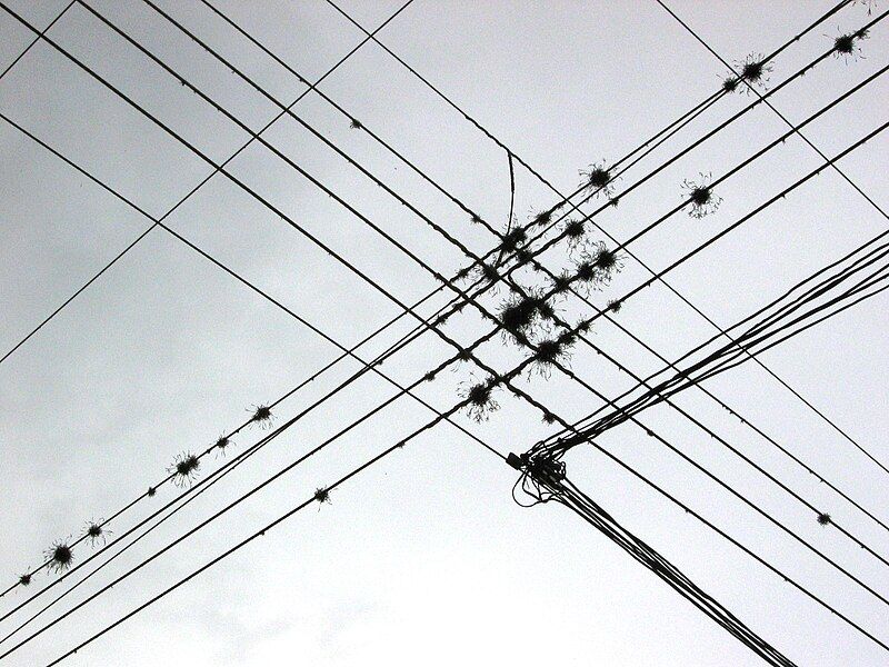 File:Wires.jpg