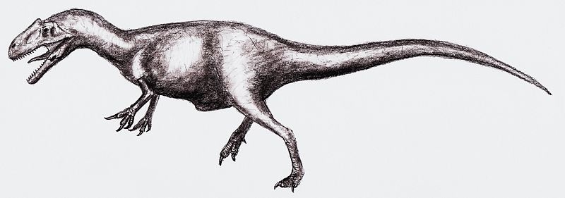 File:Allosaurus2.jpg