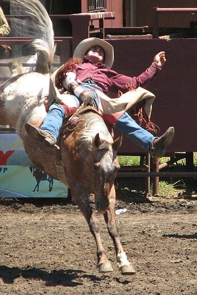 File:BareBackRigging rodeo.jpg