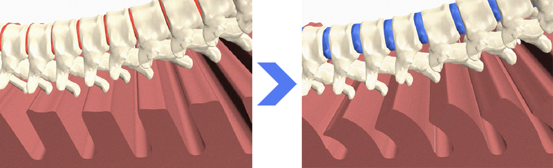 File:Before-After.png