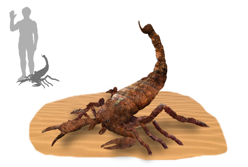 File:Brontoscorpio.png