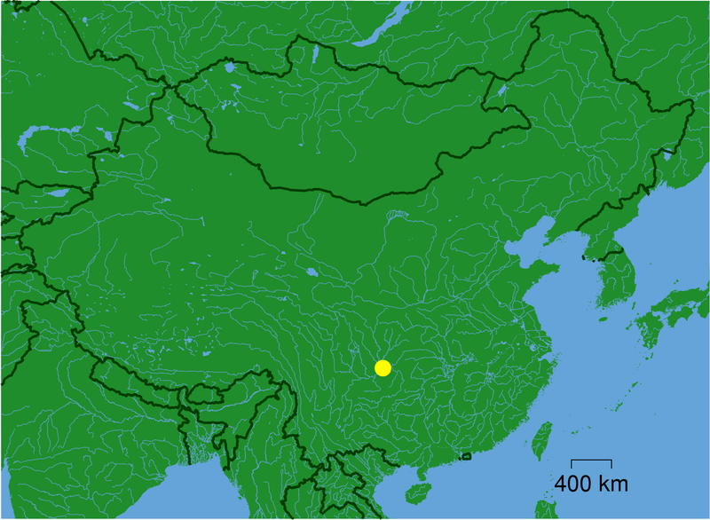 File:Chongqing dot.png