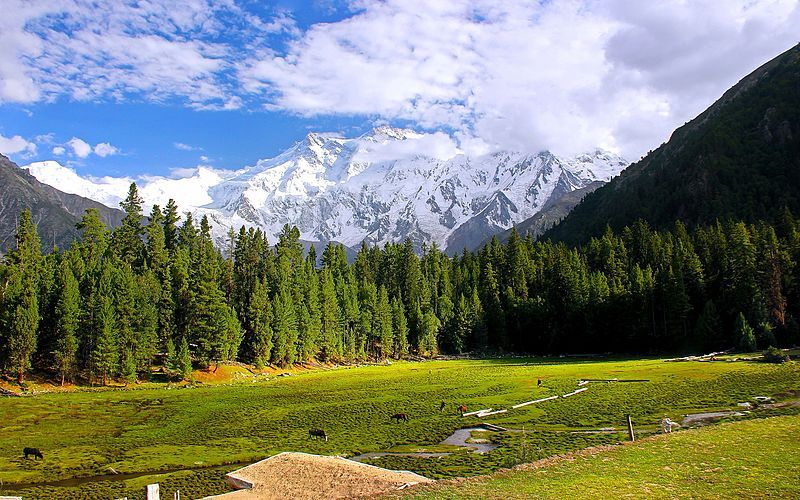 File:Fairy Meadows, Pakistan.jpg