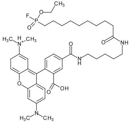 File:Fp rhodamine.svg