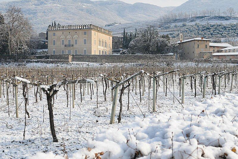 File:GR Valpolicella Estate.jpg