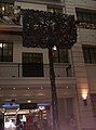 Inside ANZAC Square Arcade