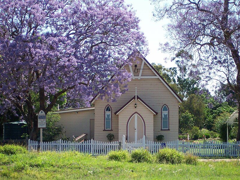 File:JacarandaWooroolinAustralia.JPG