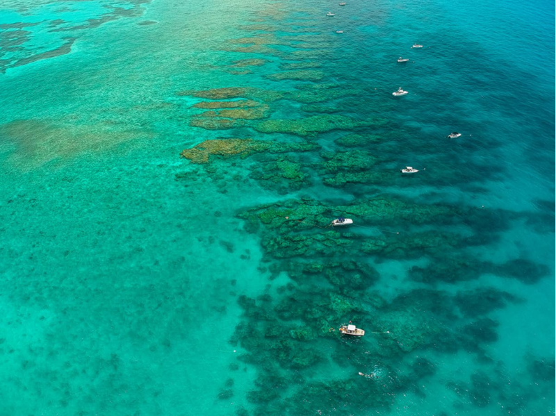 File:Looe Key Reef.PNG