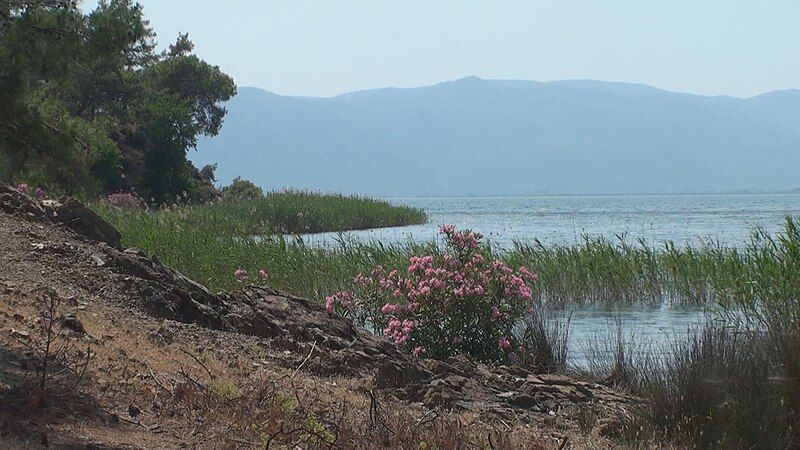 File:Meer van Köyceğiz.JPG